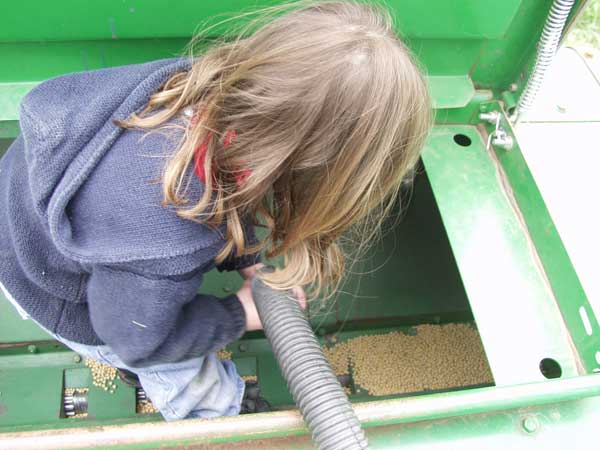vacuuming out soybeans from the planter
